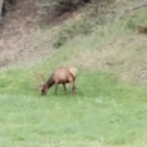 Meet your Posher, Francisco